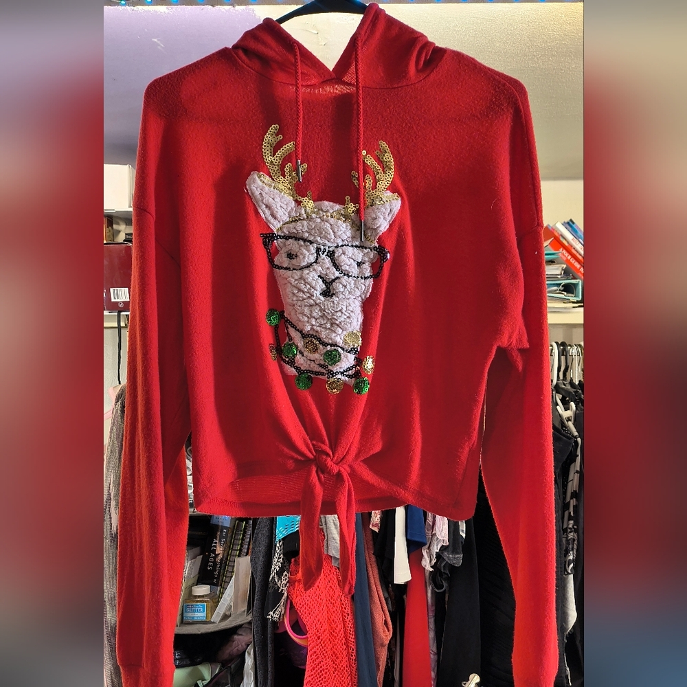3/20$*Red Hoodie with Sequin Reindeer Design